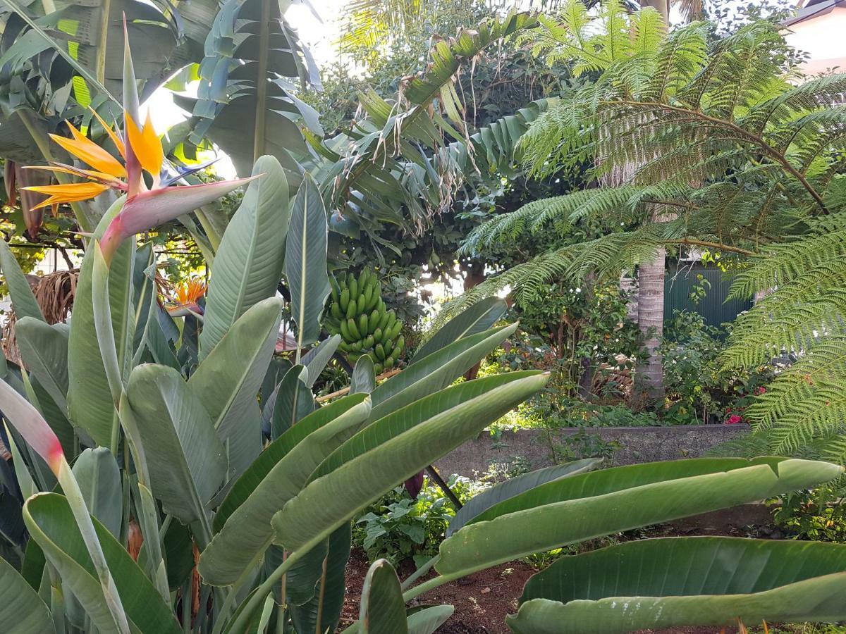 City View Gardens I Funchal  Luaran gambar